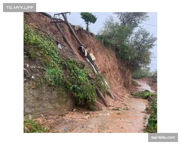 意甲节奏缓慢缺乏冲刺数据 联赛水平滑坡引发担忧